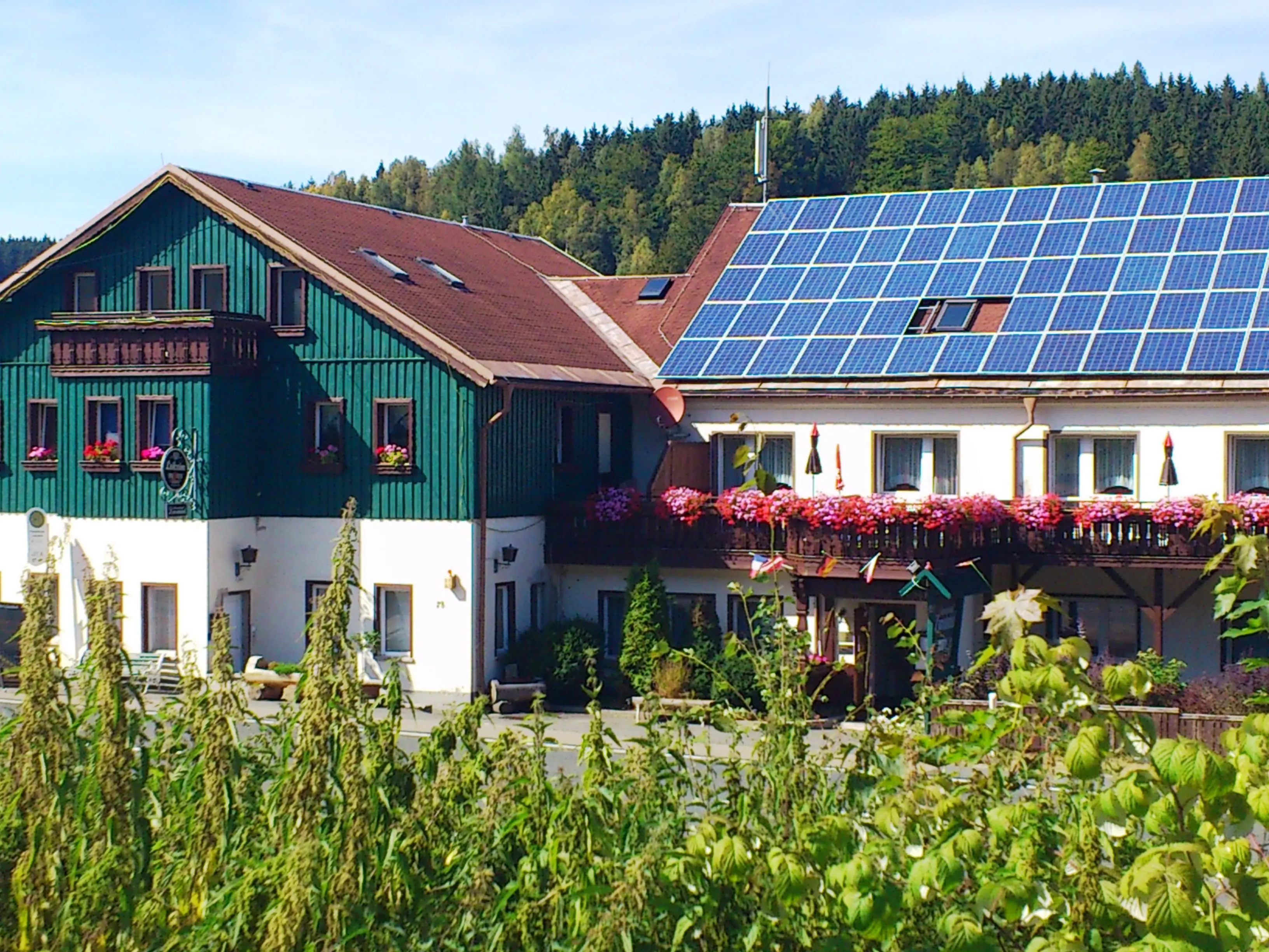 Ferienhotel Zwotatal - Gartenansicht